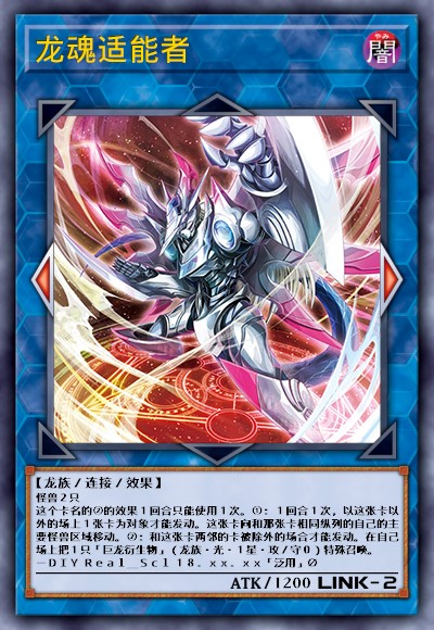 龙魂适能者