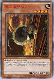 疾如风·赛科忒