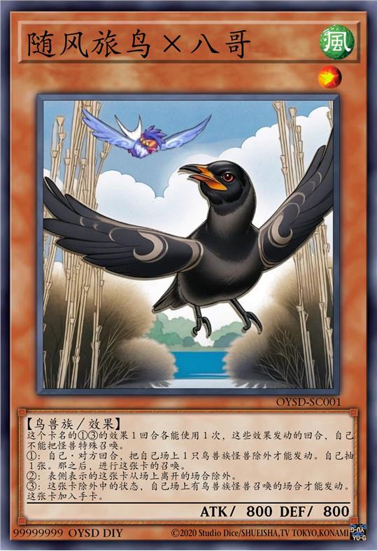 随风旅鸟×八哥