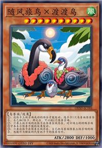 随风旅鸟×渡渡鸟