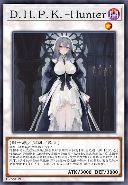 D.H.P.K.-杀手猎人