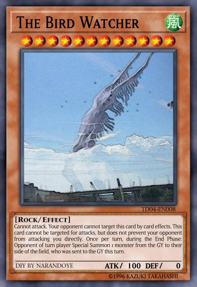 观鸟者