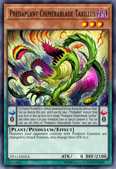 捕食植物 舌叶奇美拉桑寄生