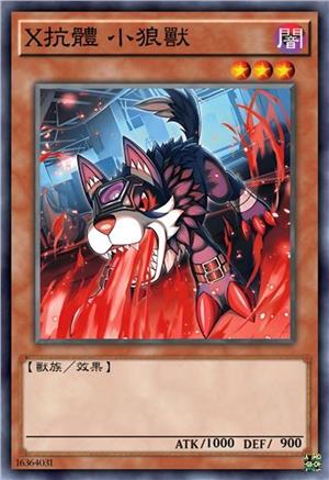 X抗体 小狼兽