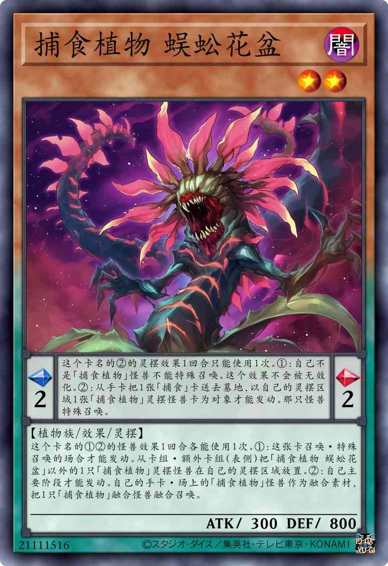 捕食植物 蜈蚣花盆