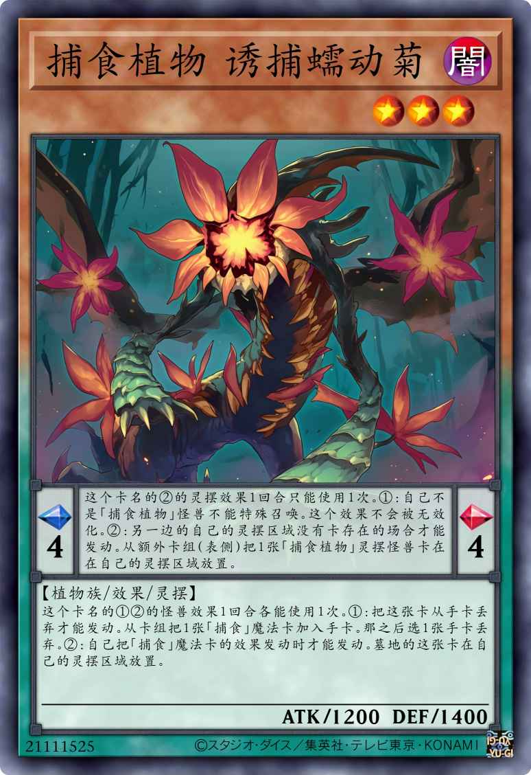 捕食植物 诱捕蠕动菊