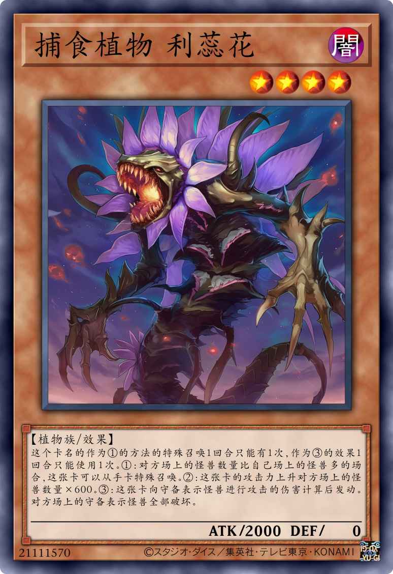 捕食植物 利蕊花