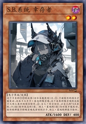 S.B.系统 幸存者