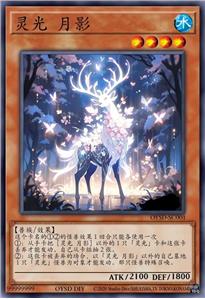 灵光 月影