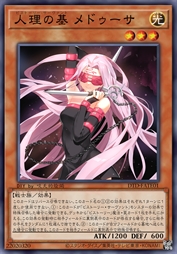 人理之基 美杜莎