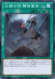 人理之诗 解体圣母