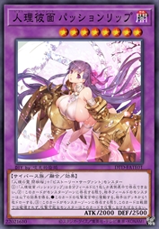 人理彼面 帕森莉普