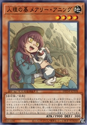 人理之基 玛丽·安宁