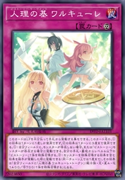 人理之基 瓦尔基里