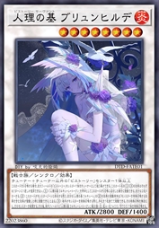 人理之基 布伦希尔德