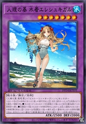 人理之基 泳装艾蕾什基伽尔