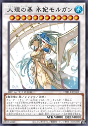 人理之基 水妃摩根