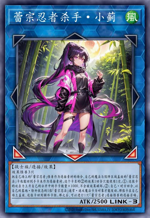 蕾宗忍者杀手·小蓟