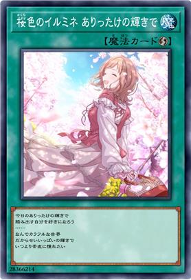 樱色的一等星 尽所有的光辉