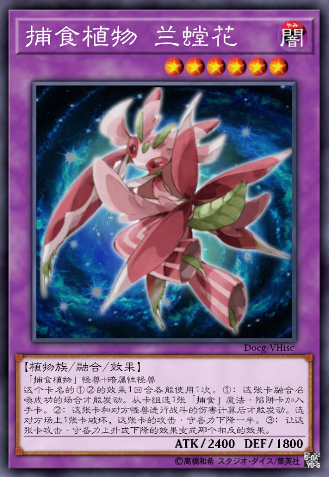 捕食植物 兰螳花