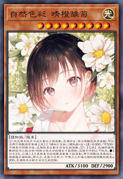 自然色彩 晴橙雏菊