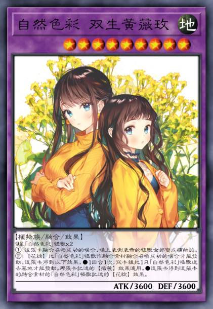 自然色彩 双生黄薇玫