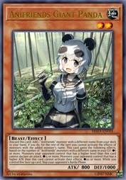 动物朋友 大熊猫