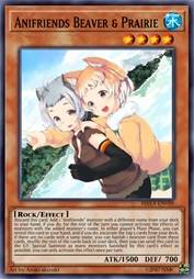 动物朋友 河狸&土拨鼠