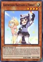 动物朋友 浣熊&耳廓狐