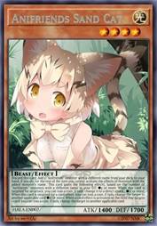 动物朋友 沙漠猫