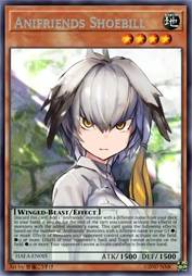 动物朋友 鲸头鹳