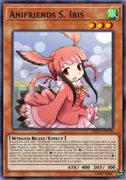 动物朋友 美洲红鹮