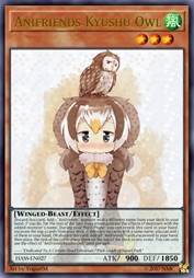 动物朋友 九州长尾林鸮