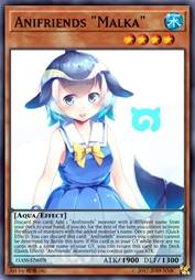 动物朋友 真海豚