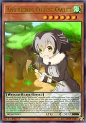 动物朋友 林斑小鸮