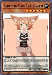 动物朋友 黑背胡狼