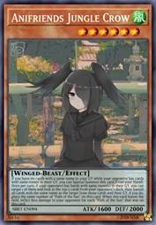 动物朋友 丛林鸦