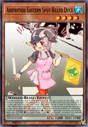 动物朋友 亚洲斑嘴鸭