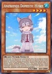 动物朋友 哈士奇家犬