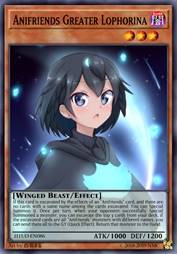 动物朋友 华美风鸟