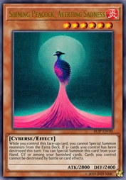 闪耀的孔雀摒除了沮丧