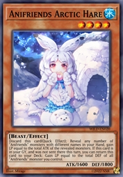 动物朋友 北极兔