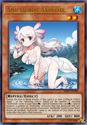 动物朋友 美西螈