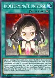 INDETERMINATE UNIVERSE