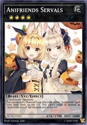 动物朋友 二色薮猫