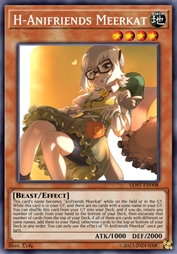 花花变身·动物朋友 狐獴