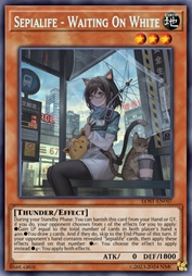 晦空士 ～守望的白愿～