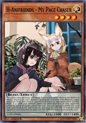 花花变身·动物朋友 ～My Pace Chaser～