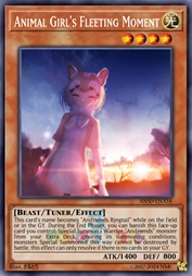 昙花一现的动物女孩