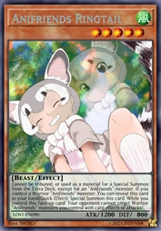 动物朋友 蓬尾浣熊